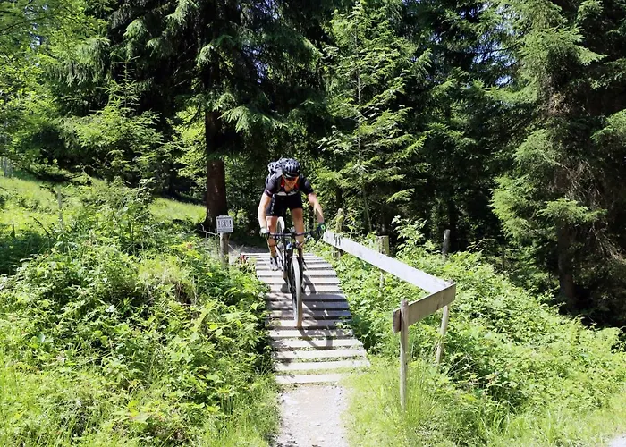 Belle Kitz Pure Im Zentrum By Belle